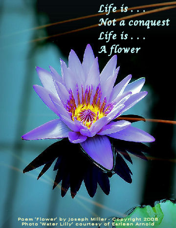flower poem